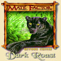 Dark Roast Yerba Mate Tea