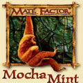 Mocha Mint Yerba Mate Tea